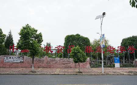 當(dāng)定制葛粉時(shí)，我們真正在選擇什么？